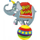 Circus Birthday