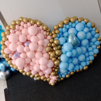 Σεμινάριο 2024_Καρδιά Gender Reveal