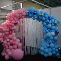 GenderReveal2