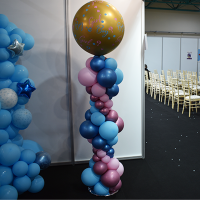 GenderReveal3