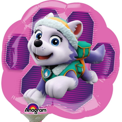 FOIL Mini/S 14''  PAW PATROL