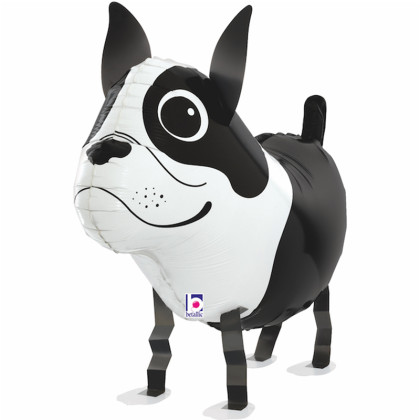 FOIL AWK ΣΚΥΛΟΣ BOSTON TERRIER
